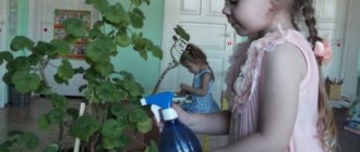 Girl with a watering can