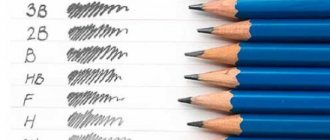 Graphics: pencil drawings for beginners step by step: landscape, animals, flowers, people