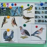 Calendar plan of educational work for the week “Wintering Birds” in the senior group