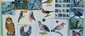 Calendar plan of educational work for the week “Wintering Birds” in the senior group