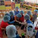 Summary of joint experimental activities with children of primary preschool age “Vegetable garden on the windowsill”