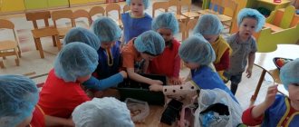 Summary of joint experimental activities with children of primary preschool age “Vegetable garden on the windowsill”