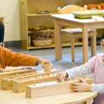 Rules for organizing sensory education according to Montessori