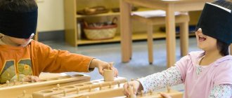 Rules for organizing sensory education according to Montessori