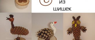 Birds made from pine cones: children&#39;s crafts made from natural materials