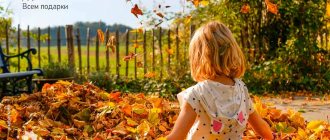 Poems about autumn for a reading competition for 1st grade