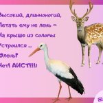 загадки обманки для детей